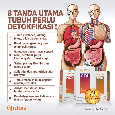 5 Cara Jitu Merawat Liver Agar Tetap Sehat and Bugar! 5 Cara Jitu Merawat Liver Agar Tetap Sehat and Bugar!