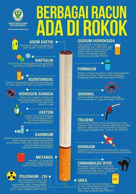 5 Cara Jitu Merawat Liver Agar Tetap Sehat and Bugar! 5 Cara Jitu Merawat Liver Agar Tetap Sehat and Bugar!