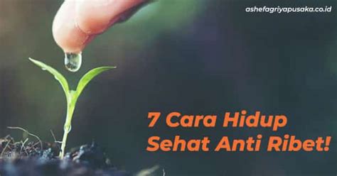 7 Rahasia Sehat Bugar Anti-Ribet yang Wajib Kamu Tahu!