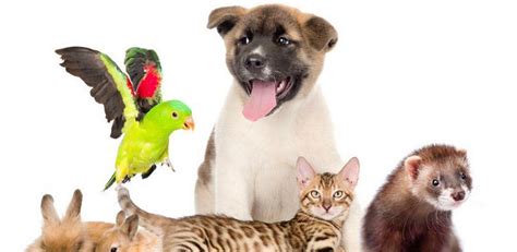 7 Cara Mengejutkan untuk Sehat yang Gak Bakal Kamu Sangka! 7 Cara Mengejutkan untuk Sehat yang Gak Bakal Kamu Sangka!
