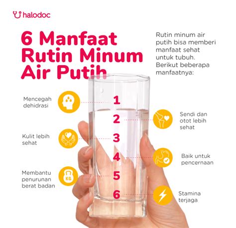7 Rahasia Simpel Bikin Badan Sehat and Bugar Selamanya! 7 Rahasia Simpel Bikin Badan Sehat and Bugar Selamanya!
