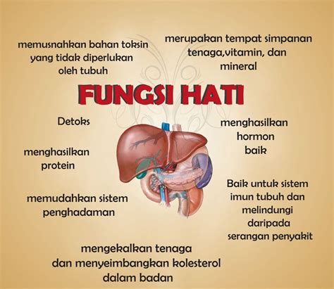 7 Rahasia Super Merawat Liver: Nomor 5 Bikin Kaget! 7 Rahasia Super Merawat Liver: Nomor 5 Bikin Kaget!