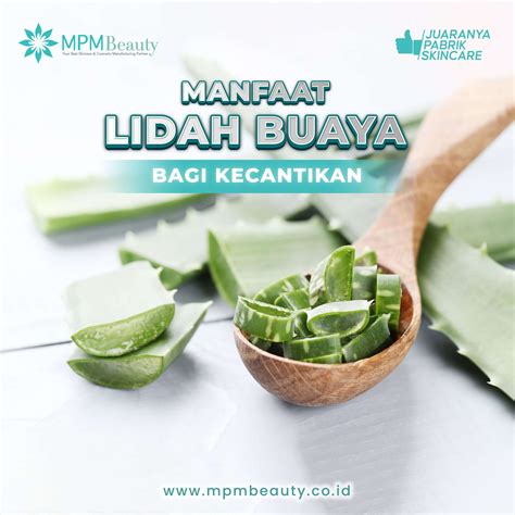 5 Skincare Alami Ampuh Lindungi Kulit Setelah Laser 5 Skincare Alami Ampuh Lindungi Kulit Setelah Laser