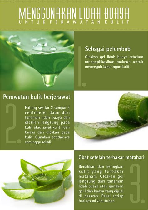 7 Treatment Kulit Kepala Alami yang Bisa Kamu Coba di Rumah untuk Atasi Ketombe dan Rambut Rontok! 7 Treatment Kulit Kepala Alami yang Bisa Kamu Coba di Rumah untuk Atasi Ketombe dan Rambut Rontok!