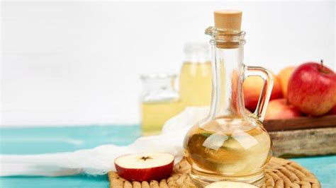 7 Treatment Kulit Kepala Alami yang Bisa Kamu Coba di Rumah untuk Atasi Ketombe dan Rambut Rontok! 7 Treatment Kulit Kepala Alami yang Bisa Kamu Coba di Rumah untuk Atasi Ketombe dan Rambut Rontok!
