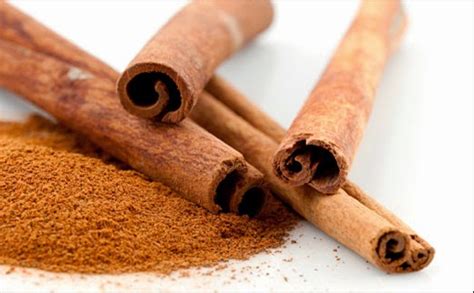 7 Treatment Kulit Kepala Alami yang Bisa Kamu Coba di Rumah untuk Atasi Ketombe dan Rambut Rontok! 7 Treatment Kulit Kepala Alami yang Bisa Kamu Coba di Rumah untuk Atasi Ketombe dan Rambut Rontok!